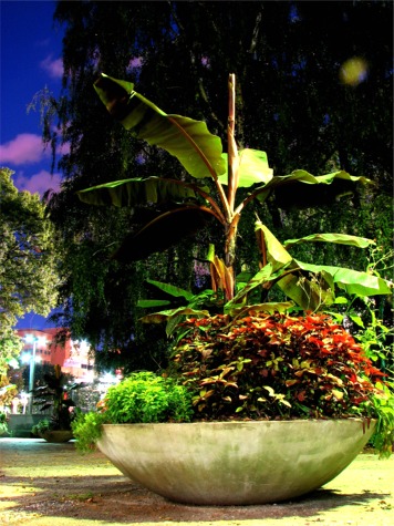 Founders Garden - Jake Siemiarowski, Student