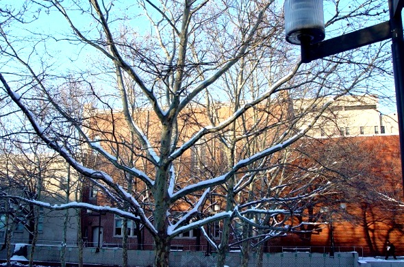 Main Campus - University Photography