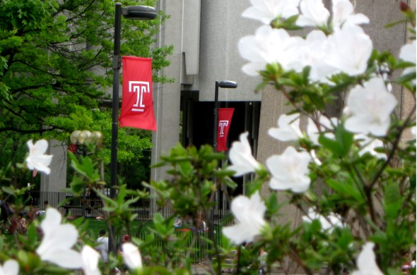 Polett Walk - Michele S, Staff