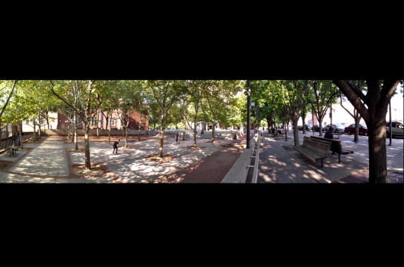 Cecil B. Moore Skateboarding - Stanley Horwitz, Staff