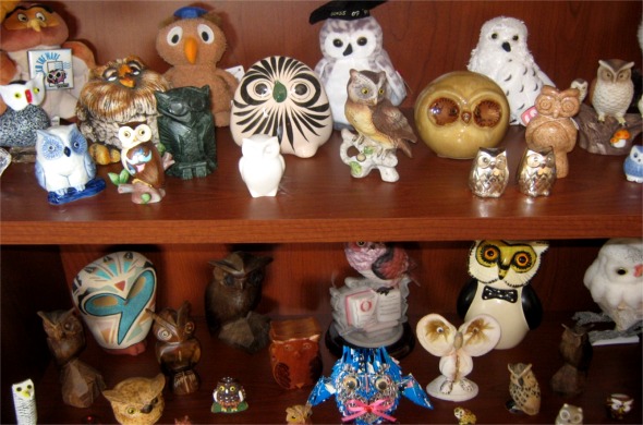 Abey - Brian Owl Collection