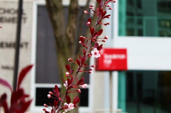 Staff:TravisJacksonMcFarland