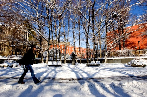 UniversityPhotography:FoundersGardenSnowDay