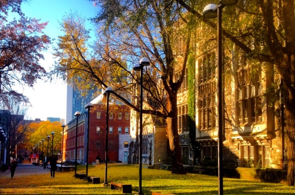 PhotoCredit:RobertSeifried-LiacourasWalkMainCampus